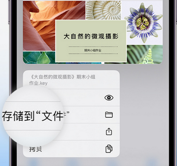 上高apple维修中心分享iPhone文件应用中存储和找到下载文件