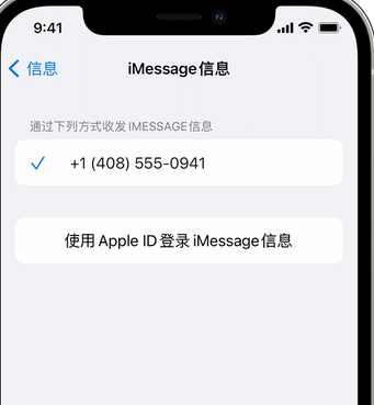 上高apple维修iPhone上无法正常发送iMessage信息 