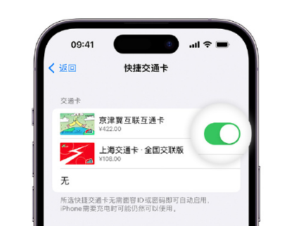 上高apple维修点分享iPhone上更换Apple Pay快捷交通卡手绘卡面 