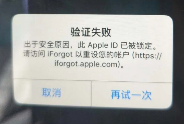 上高iPhone维修分享iPhone上正常登录或使用AppleID怎么办 