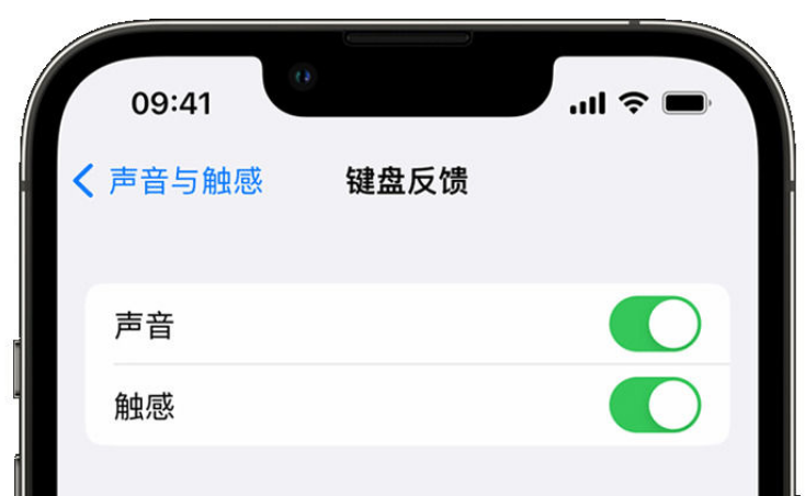 上高苹果手机维修分享iPhone 14触感键盘使用方法 