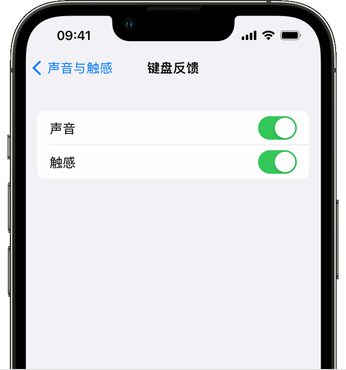 上高苹果14维修店分享如何在 iPhone 14 机型中使用触感键盘 