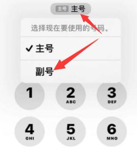 上高苹果14维修店分享iPhone 14 Pro Max使用副卡打电话的方法 