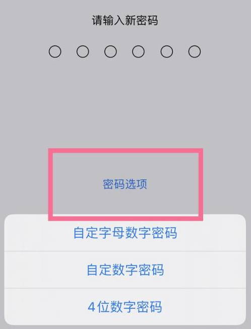 上高苹果14维修分享iPhone 14plus设置密码的方法 